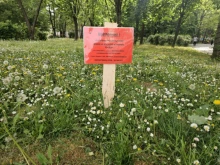 Спряха пръскането срещу кърлежи в Благоевград, ето каква е причината