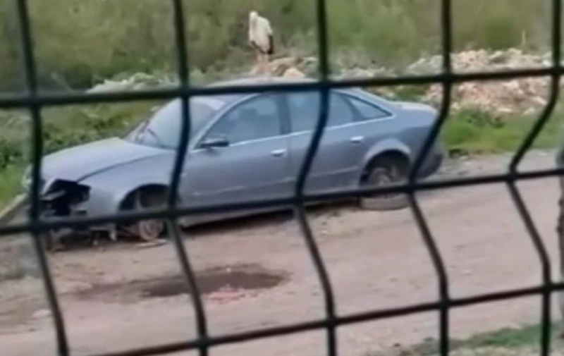 Не автоджамбази, а щъркел атакува автомобилите в Ловешко