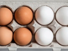 Експерт: Скоро кафявите яйца може да ги няма в магазините