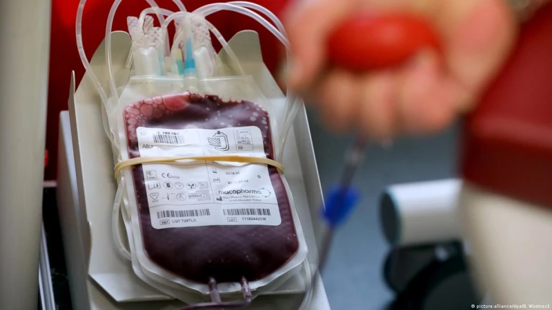 Как действа кръвната мафия у нас?