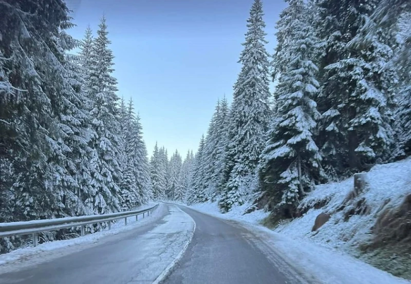 До 3-4 см е снежната покривка по проходите в Смолянско, пътищата са почистени и опесъчени