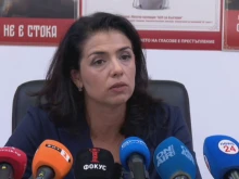 Григорова влиза в битката за парламентарния вот