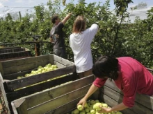 Експерти и синдикалисти ще консултират български сезонни работници в селското стопанство във Франция