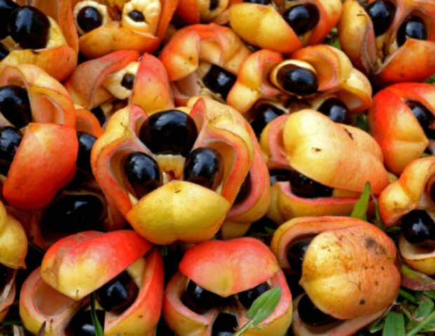 Този плод помага за понижаване на холестерола и подобрява здравето на сърдечно-съдовата система