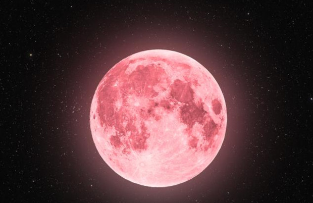 Четвъртата пълна луна за 2024 г наречена Розовата луна ще