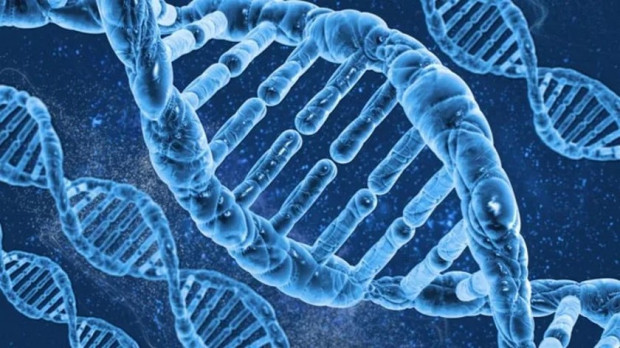 Официалната позиция на България за европейския регламент касаещ новите геномни