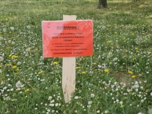 В Благоевград ще бъде подновено пръскането на тревните площи срещу кърлежи