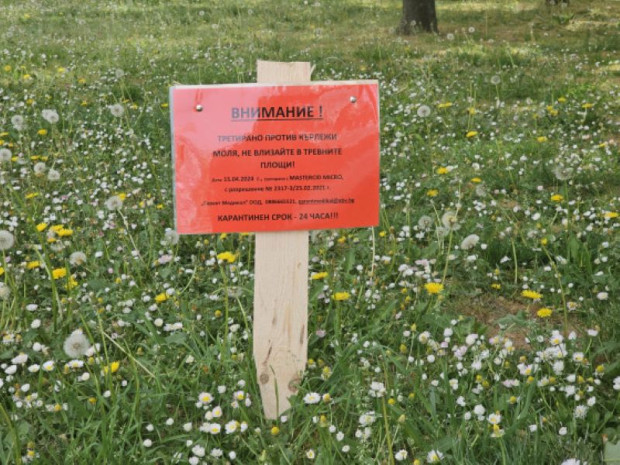TD Община Благоевград продължава дезакаризацията на тревните площи на областния център