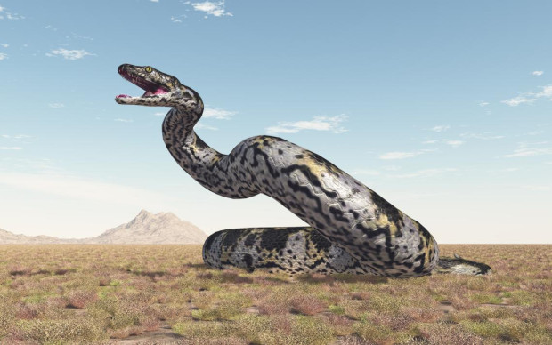 Учени в Индия откриват вкаменени останки на древна змия на