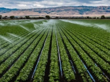 EК одобри държавна помощ за напояване на земеделски култури за 2024 година