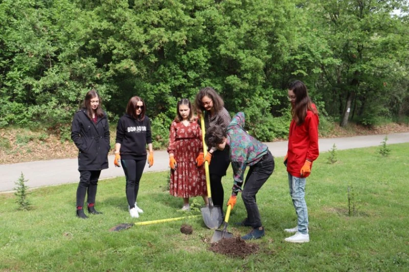Млади творци засадиха кедър в Хасково
