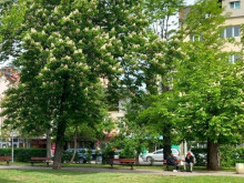 Колко време трябва да си работил във фирмата, за да получиш достойно обезщетение при пенсиониране?