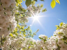 Прогнозата за днес: Предимно слънчево и пролетни температури