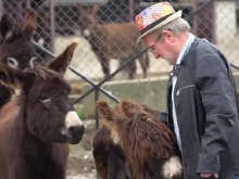 Хърватин спасява изчезващ вид животни във ферма край Русе 