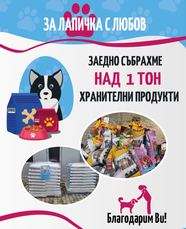 Над 1 тон храни получават кучетата от приюта край Търново