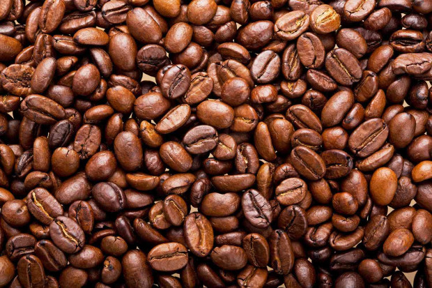 Учени са установили че кафените зърна от сорта Арабика датират