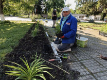 Жители на русенско село се обединиха в благородна кауза, озеленяване