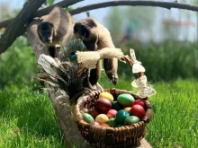 Зоопаркът в Бургас с разнообразна програма в празничните дни – от боядисване на екзотични яйца до близка среща с обитателите