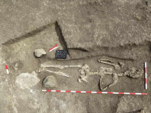 Откриха скелет на гигант при разкопки за строеж в община Средец