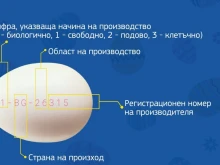Какво означава комбинацията от букви и цифри, които са отпечатани върху яйцата?