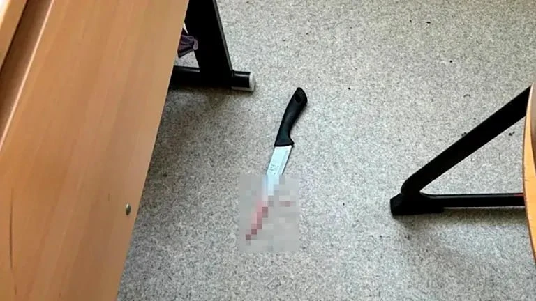 В Унгария 12-годишно момиче нападна с нож своя съученичка