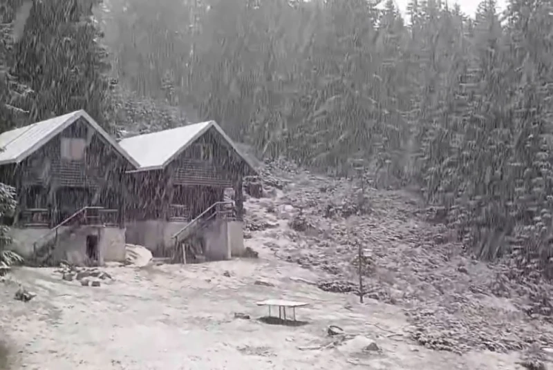 Заваля обилен сняг у нас, вижте къде