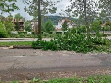Опасна ситуация заради силния вятър в Кюстендил