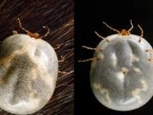 ���� �� �������� ������� � ������������ �� ������� ������������, ��� ���� ������ � �������������������� � ��� �������� �� �����