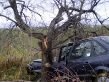 Русенка пострада навръх Гергьовден: Колата се е ударила в дърво и паднала в канавка