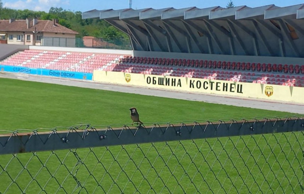 ОДМВР-София и Община Костенец организират благотворителен турнир по футбол в