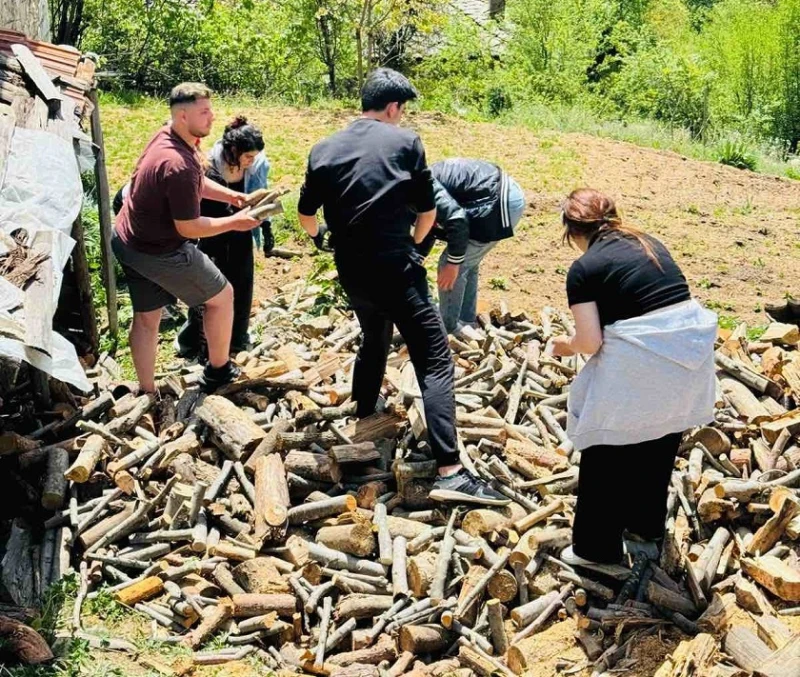 20 младежи от България и чужбина помагат на възрастните хора в община Мадан като "Внуци под наем"