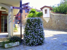 За откриването на "Вино и гурме" ограничават за час движението в Стария град на Пловдив