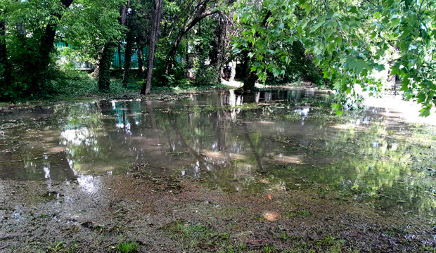 Варна с нова "атракция" – огромно блато