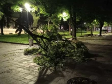 В Плевен: Започва отстраняването на щетите след снощния порой