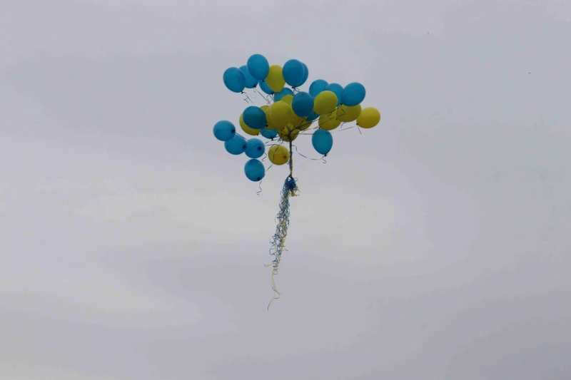 Десетки балони с цветовете на знамето на ЕС полетяха от Дунав мост при Русе