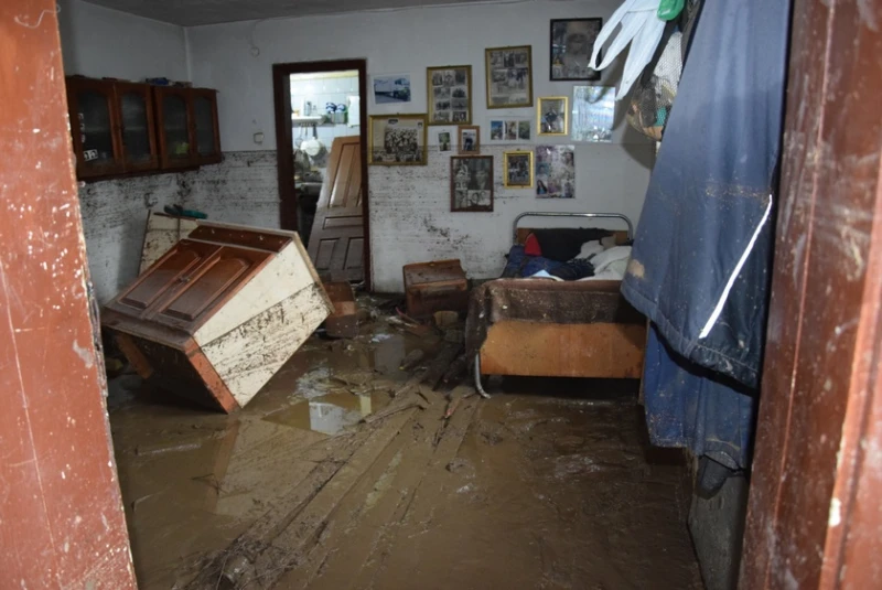 Областният управител на Видин посети засегнатото от поройния дъжд село Делейна