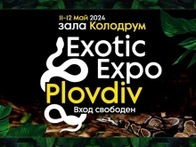 Най-отровните паяци, влечуги и други екзотични животни на уникална изложба в Пловдив