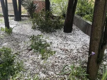 ����������: �������� � ���� �� ���-������������ ������ � ������