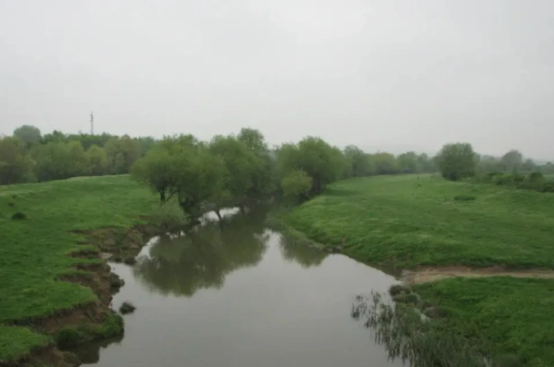 Водите на река Пакоша почерняха от съмнителна течност