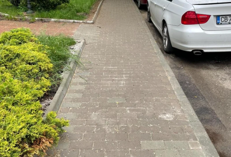 ������ �� ����� "������": ���������� ����� �������� �������, �� ����� �� ��������� � ��������