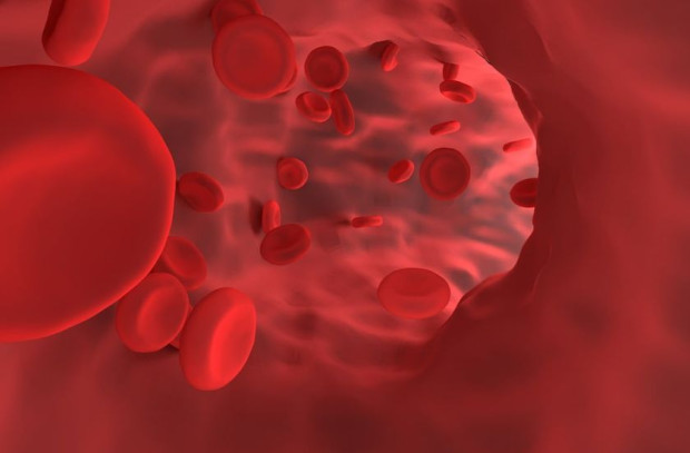 Учени от Дания и Швеция работят по промяна на кръвните