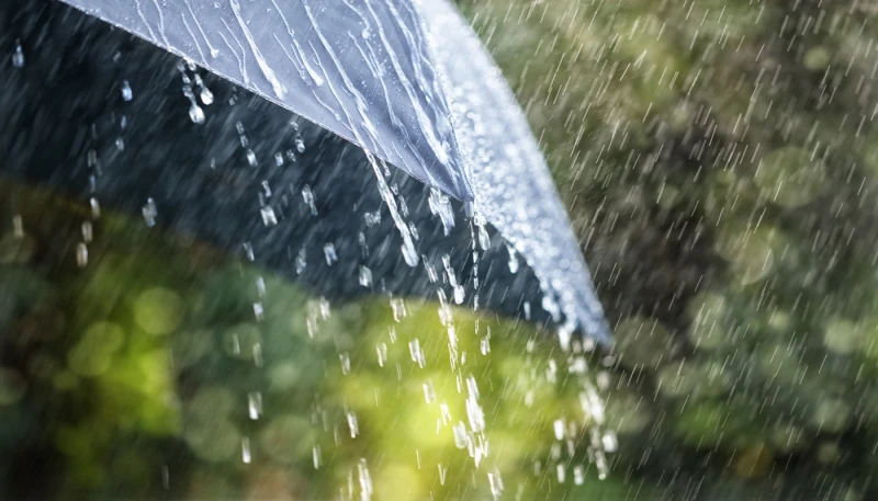 Климатолог: В някои региони на страната вече са достигнати нормите за валежи за месеца