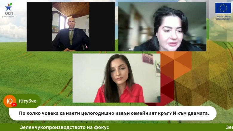 Работната ръка – основен проблем пред българските производители на зеленчуци