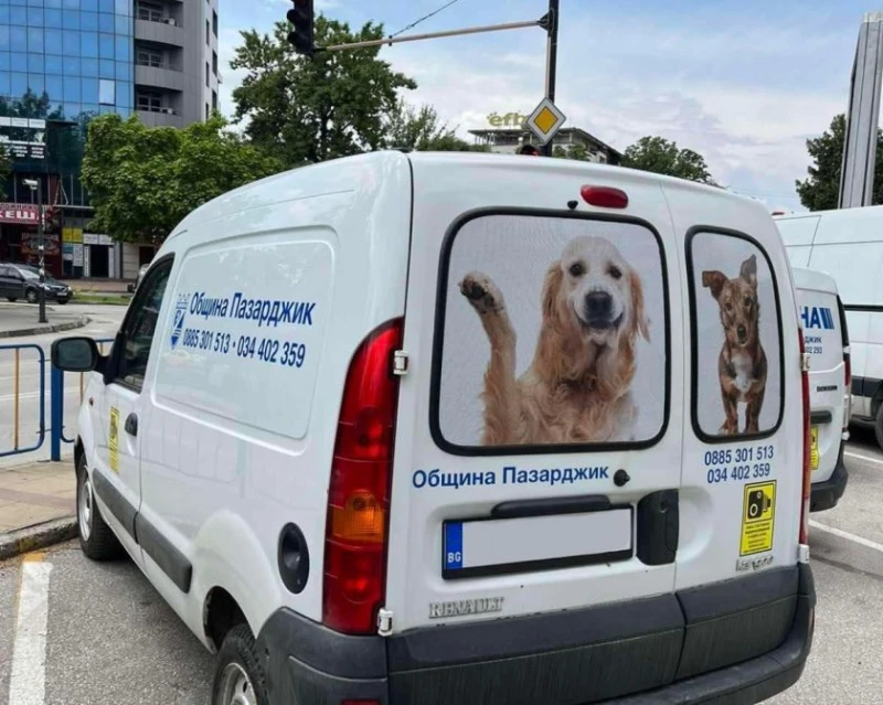 Специализиран екип ще улавя хуманно бездомните кучета в Пазарджик