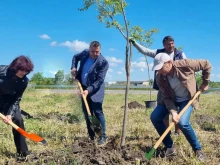 От АПИ садиха дървета край обходния път на Бургас