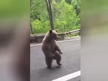 ��������� ������ ���� �� ���� ������� ��������