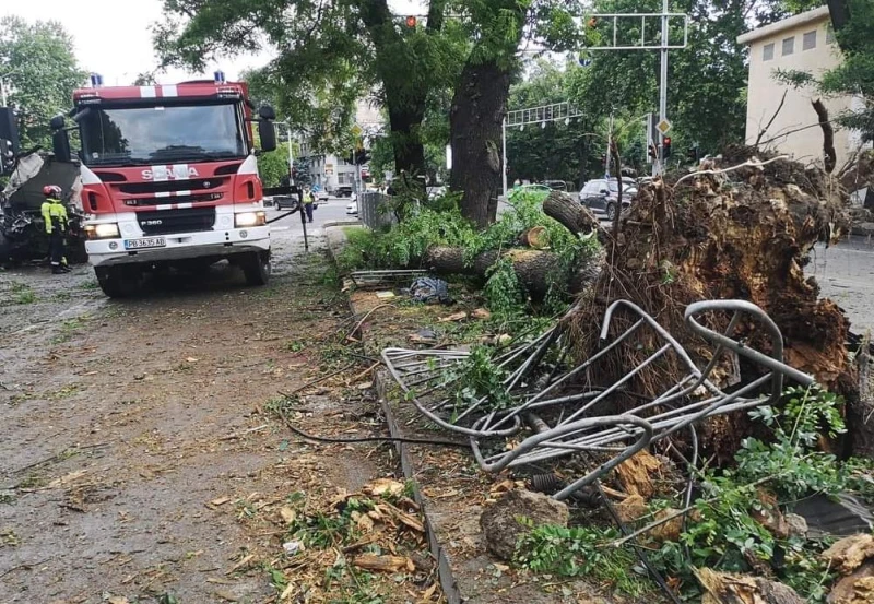 Последна информация за пожарникаря, върху когото падна огромно дърво след инцидента на бул. "Руски"