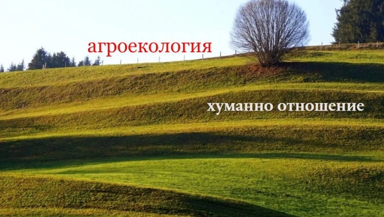 Кампания 2024: Нови условия и бюджети по някои компенсаторни интервенции