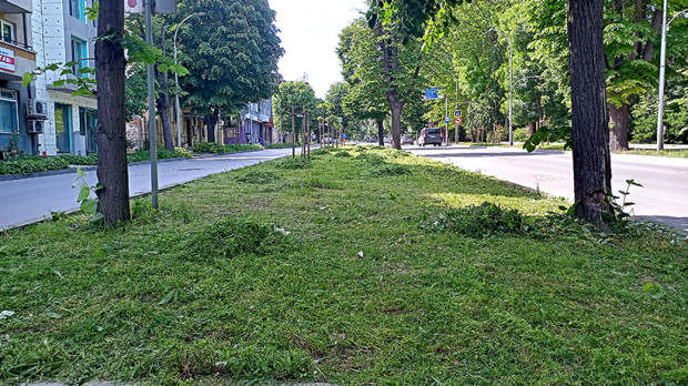 Окосиха разделителните тревни площи по бул. Цар Освободител“ във Варна,