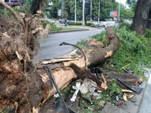 Кметът на Пловдив: При 200 км/ч е невъзможно шофьорите да се предпазят